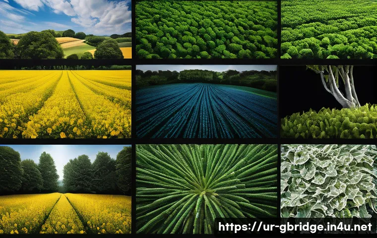 글로벌브릿지와 글로벌 교육 - Here are three detailed image prompts in English, designed to be suitable for a 15-year-old audience...